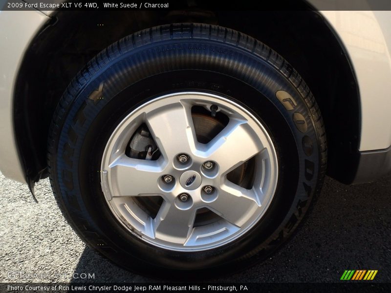 White Suede / Charcoal 2009 Ford Escape XLT V6 4WD