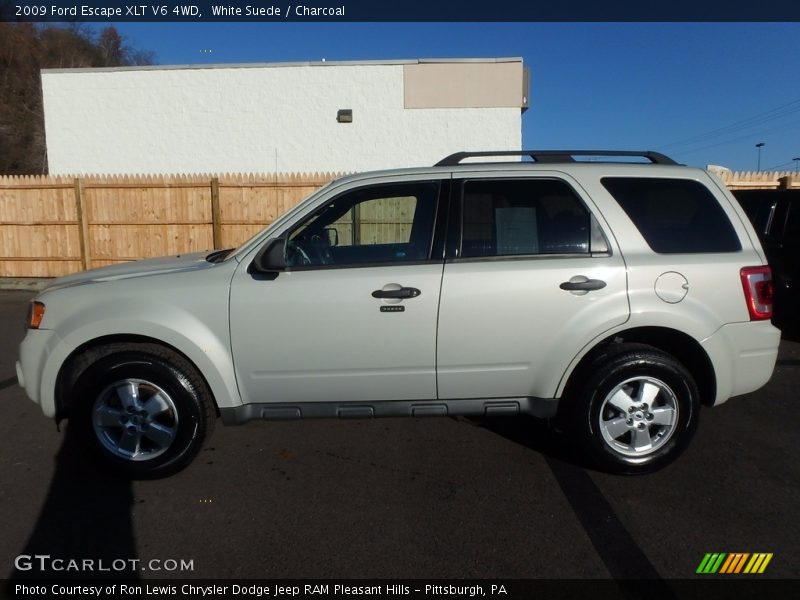 White Suede / Charcoal 2009 Ford Escape XLT V6 4WD
