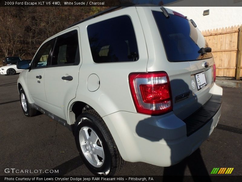 White Suede / Charcoal 2009 Ford Escape XLT V6 4WD