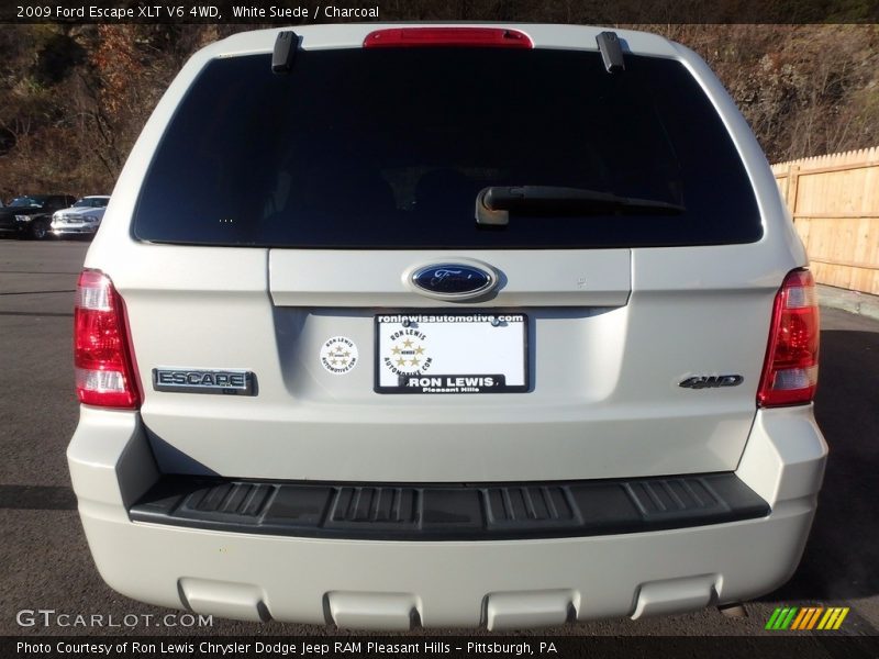 White Suede / Charcoal 2009 Ford Escape XLT V6 4WD