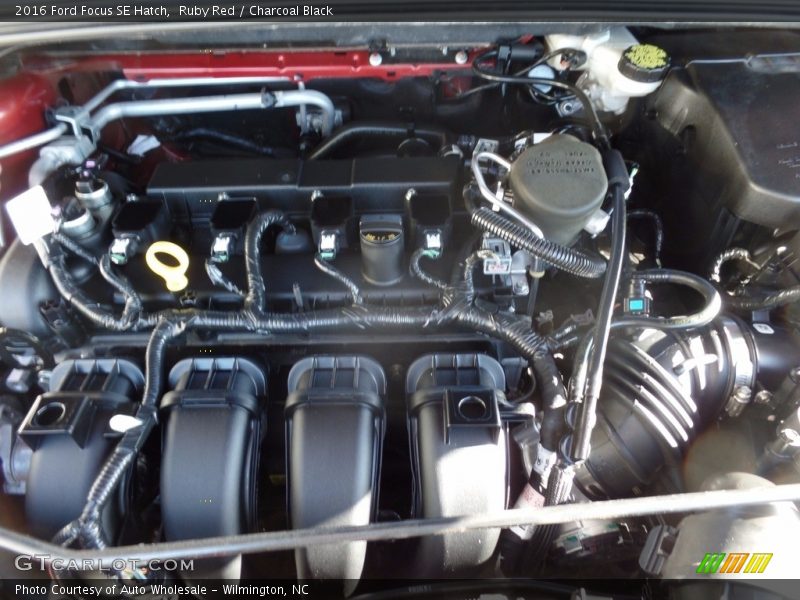 Ruby Red / Charcoal Black 2016 Ford Focus SE Hatch