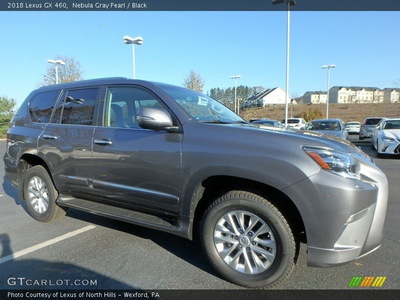 Nebula Gray Pearl / Black 2018 Lexus GX 460