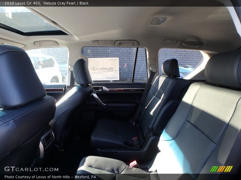 Nebula Gray Pearl / Black 2018 Lexus GX 460