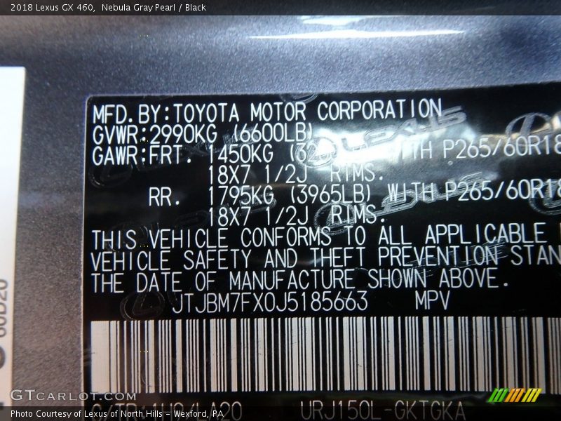 Nebula Gray Pearl / Black 2018 Lexus GX 460