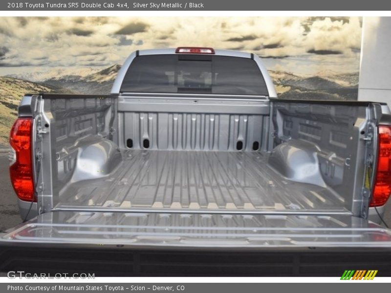 Silver Sky Metallic / Black 2018 Toyota Tundra SR5 Double Cab 4x4