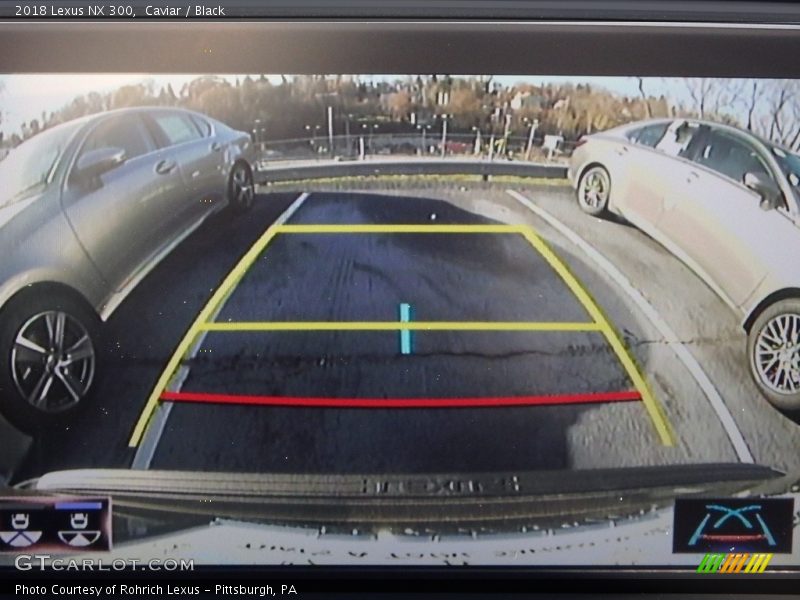 Caviar / Black 2018 Lexus NX 300
