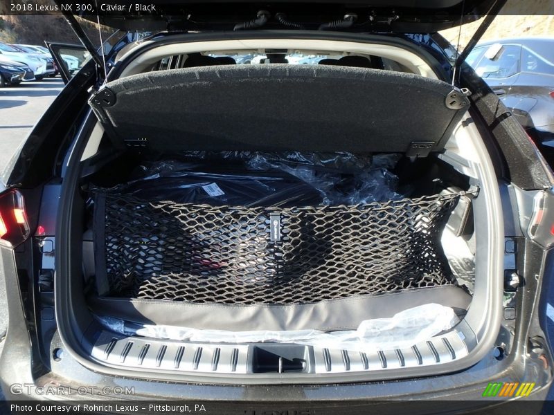 Caviar / Black 2018 Lexus NX 300