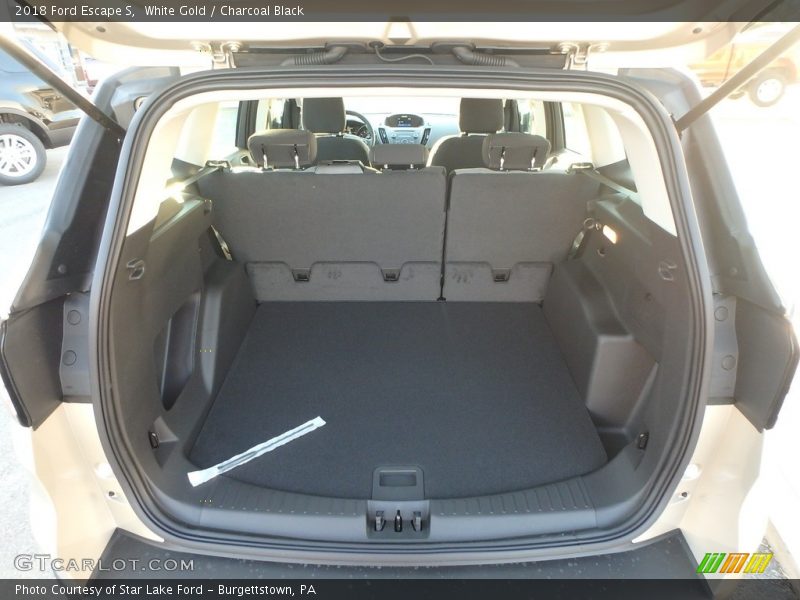 White Gold / Charcoal Black 2018 Ford Escape S