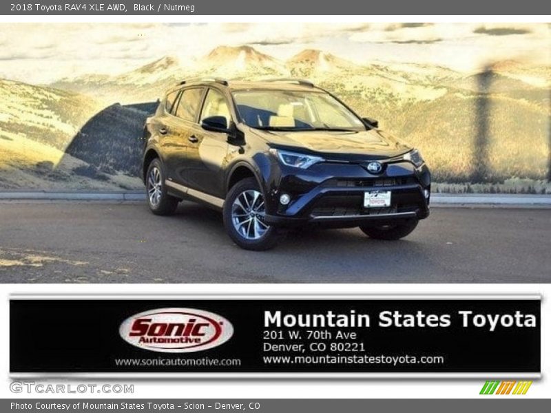 Black / Nutmeg 2018 Toyota RAV4 XLE AWD