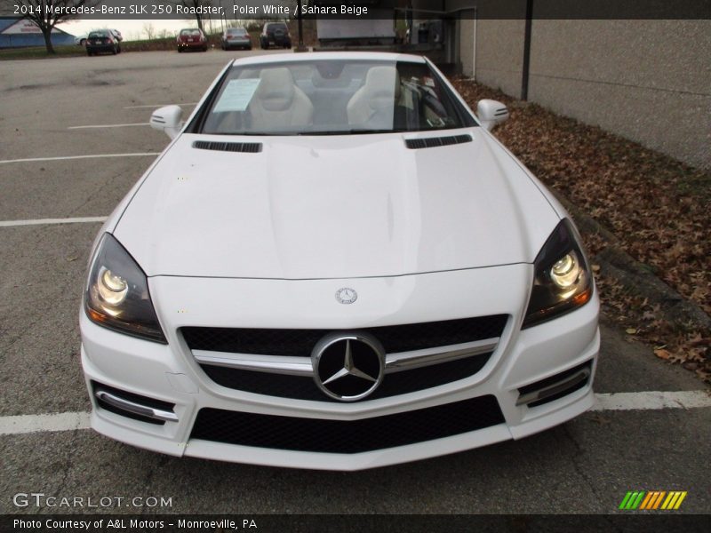 Polar White / Sahara Beige 2014 Mercedes-Benz SLK 250 Roadster