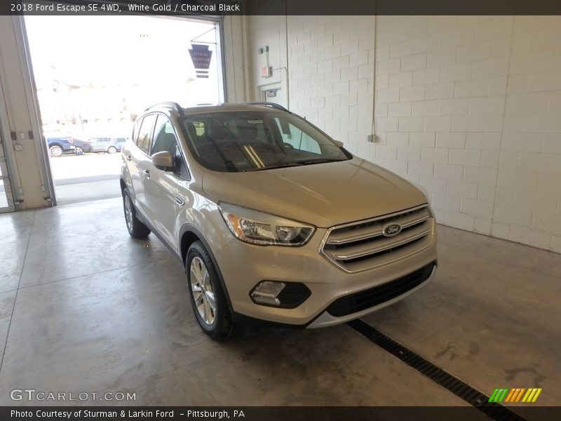 White Gold / Charcoal Black 2018 Ford Escape SE 4WD