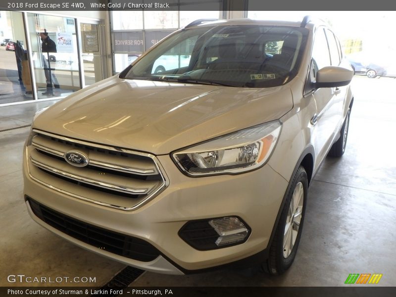 White Gold / Charcoal Black 2018 Ford Escape SE 4WD