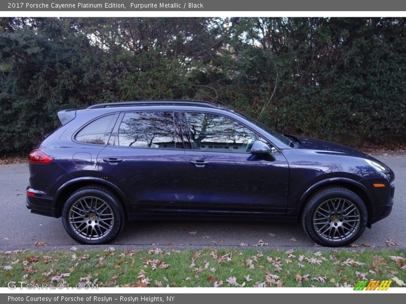  2017 Cayenne Platinum Edition Purpurite Metallic