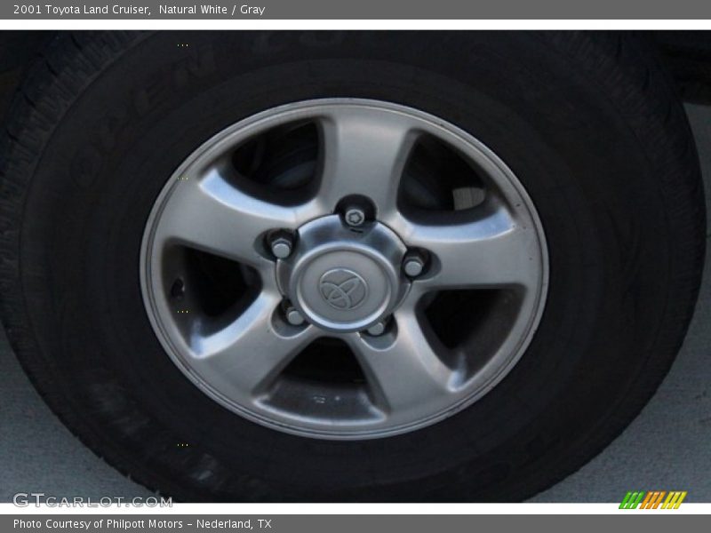 Natural White / Gray 2001 Toyota Land Cruiser