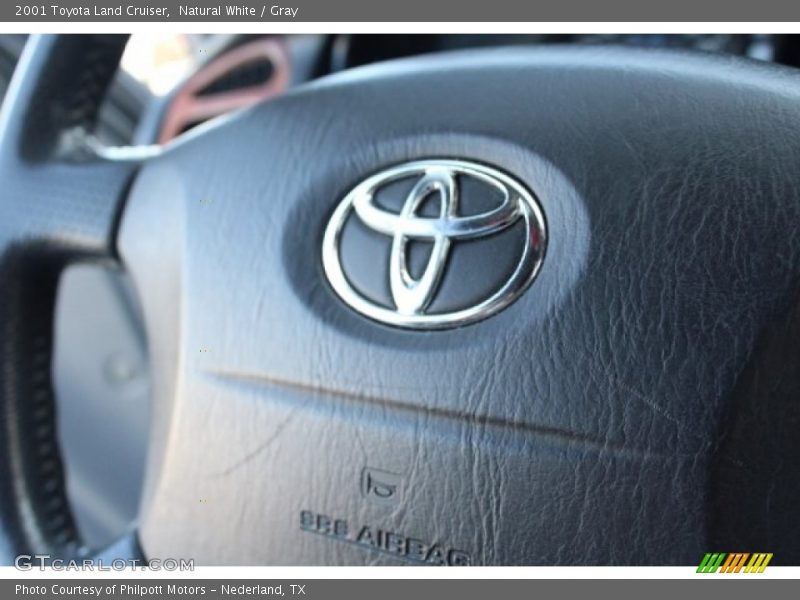 Natural White / Gray 2001 Toyota Land Cruiser