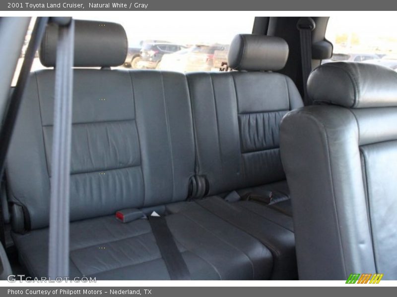 Natural White / Gray 2001 Toyota Land Cruiser