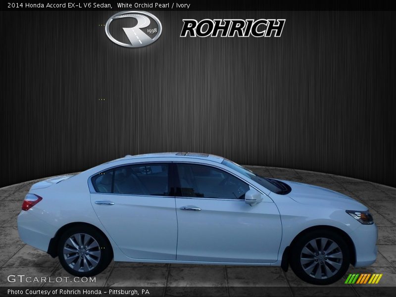 White Orchid Pearl / Ivory 2014 Honda Accord EX-L V6 Sedan