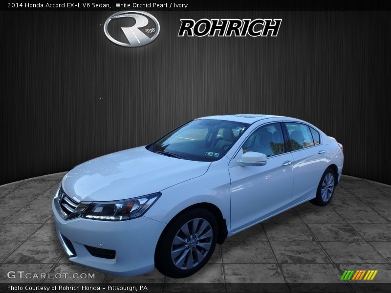 White Orchid Pearl / Ivory 2014 Honda Accord EX-L V6 Sedan