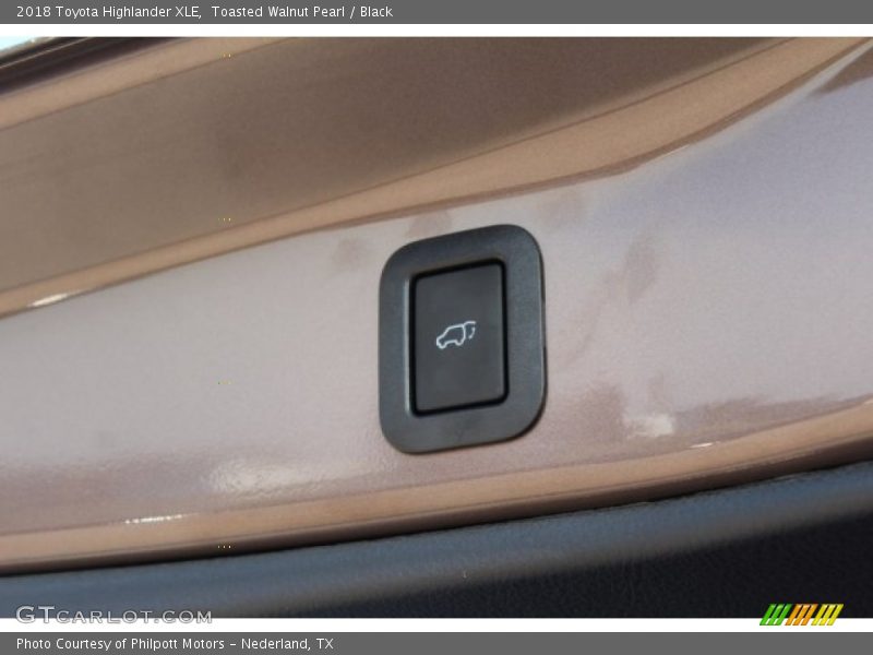 Toasted Walnut Pearl / Black 2018 Toyota Highlander XLE