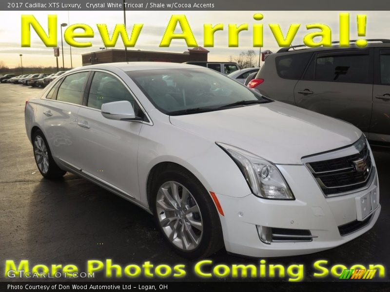 Crystal White Tricoat / Shale w/Cocoa Accents 2017 Cadillac XTS Luxury