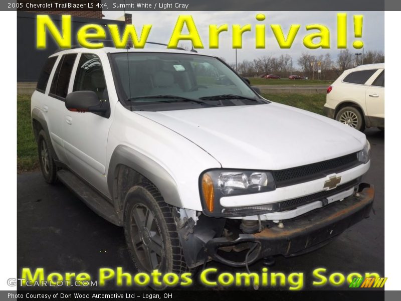 Summit White / Light Gray 2005 Chevrolet TrailBlazer LS 4x4