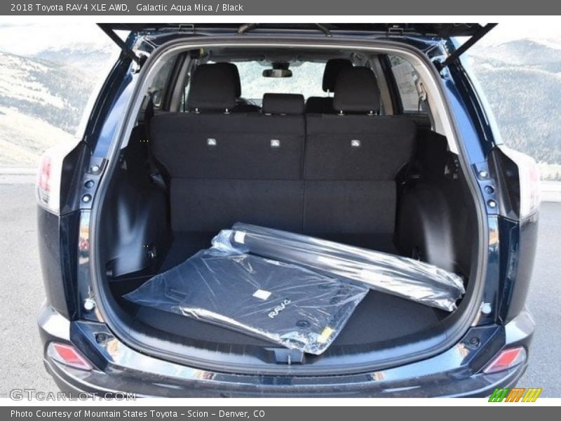 Galactic Aqua Mica / Black 2018 Toyota RAV4 XLE AWD