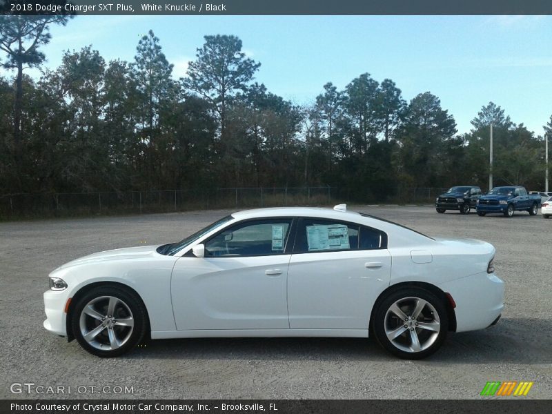  2018 Charger SXT Plus White Knuckle
