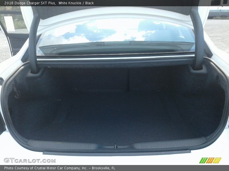 White Knuckle / Black 2018 Dodge Charger SXT Plus