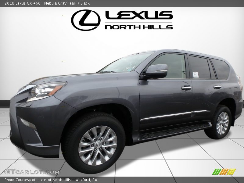 Nebula Gray Pearl / Black 2018 Lexus GX 460