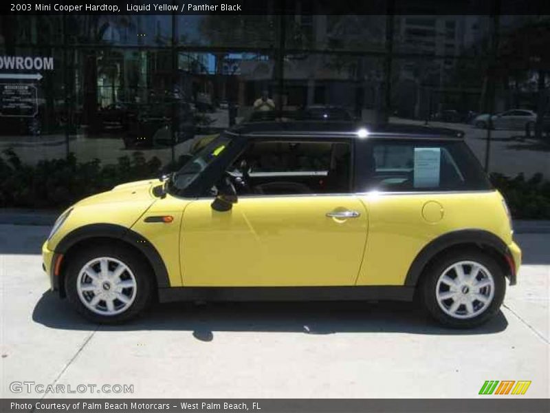 Liquid Yellow / Panther Black 2003 Mini Cooper Hardtop