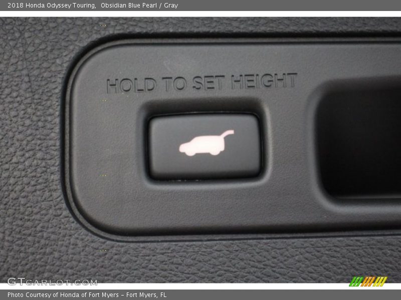 Obsidian Blue Pearl / Gray 2018 Honda Odyssey Touring