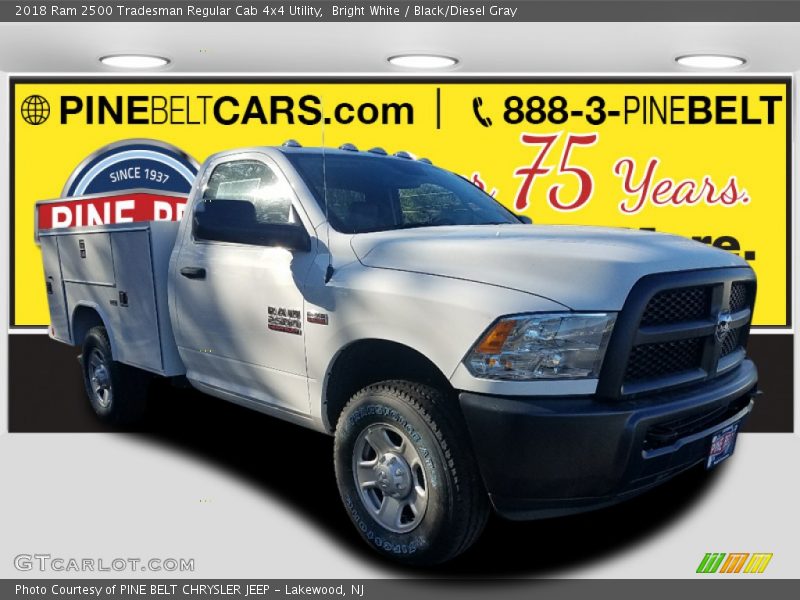 Bright White / Black/Diesel Gray 2018 Ram 2500 Tradesman Regular Cab 4x4 Utility