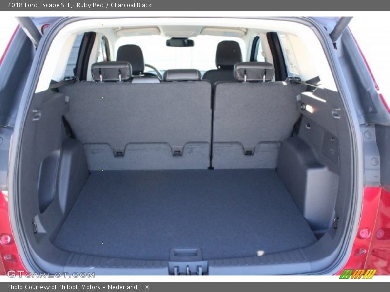 Ruby Red / Charcoal Black 2018 Ford Escape SEL