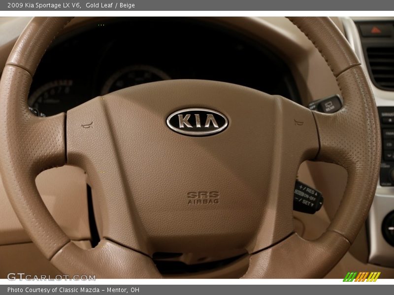 Gold Leaf / Beige 2009 Kia Sportage LX V6