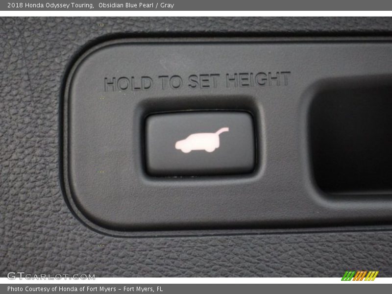Obsidian Blue Pearl / Gray 2018 Honda Odyssey Touring