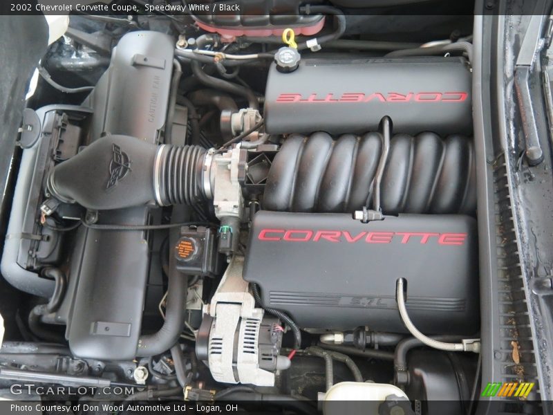 Speedway White / Black 2002 Chevrolet Corvette Coupe