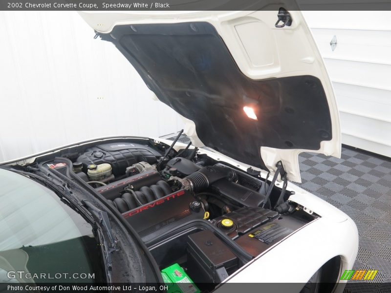 Speedway White / Black 2002 Chevrolet Corvette Coupe