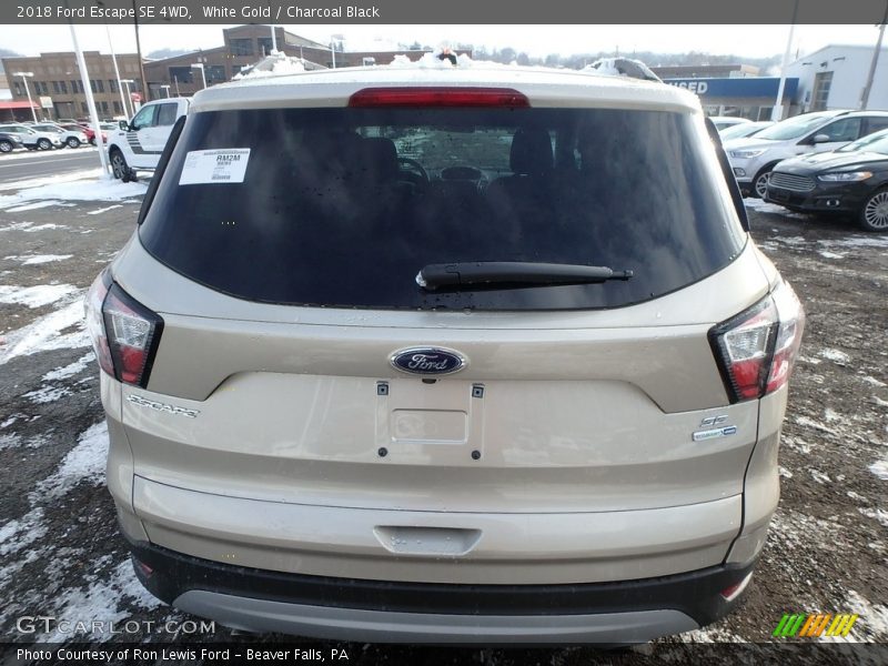 White Gold / Charcoal Black 2018 Ford Escape SE 4WD