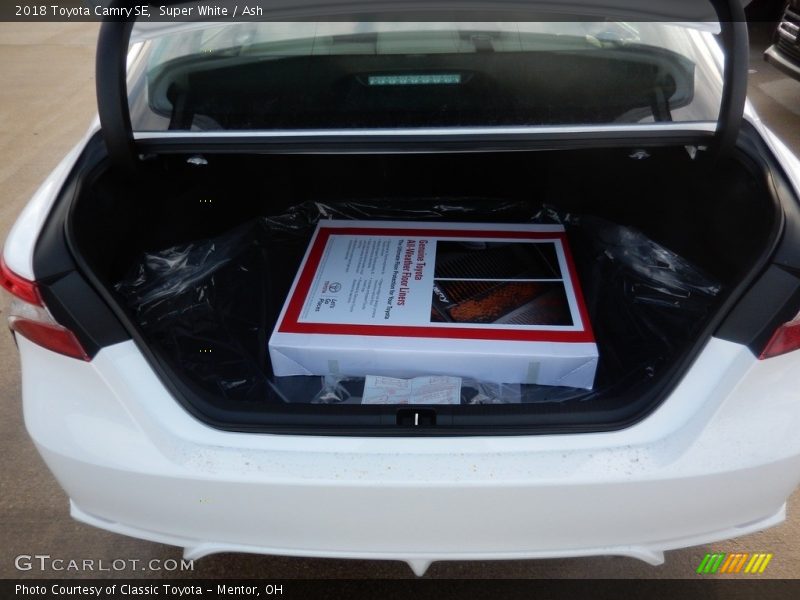 Super White / Ash 2018 Toyota Camry SE