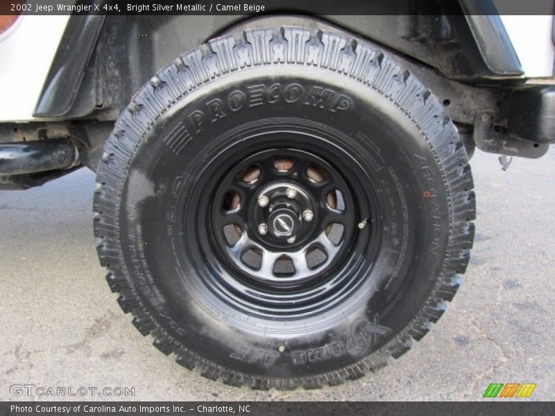 Bright Silver Metallic / Camel Beige 2002 Jeep Wrangler X 4x4