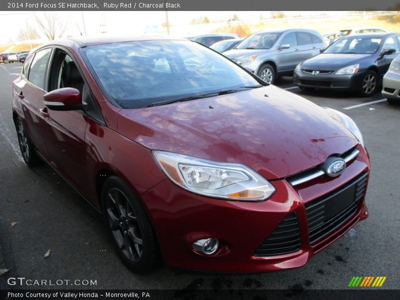 Ruby Red / Charcoal Black 2014 Ford Focus SE Hatchback