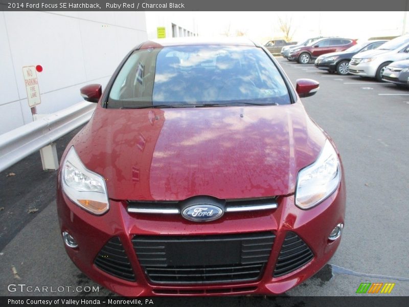 Ruby Red / Charcoal Black 2014 Ford Focus SE Hatchback