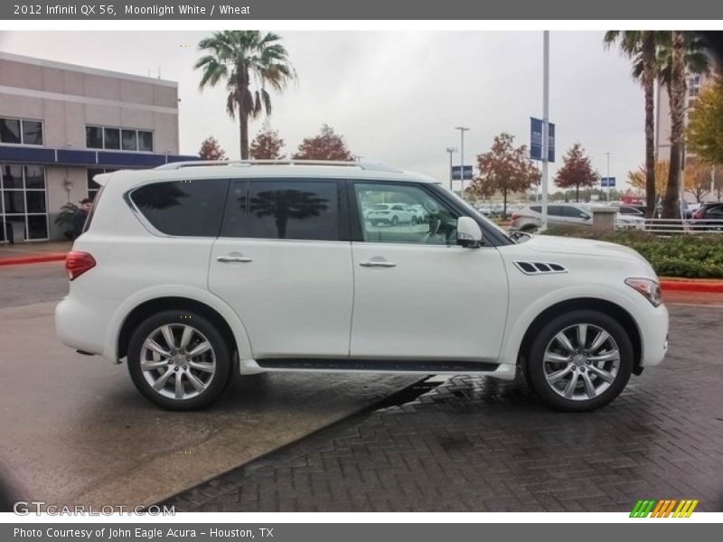 Moonlight White / Wheat 2012 Infiniti QX 56
