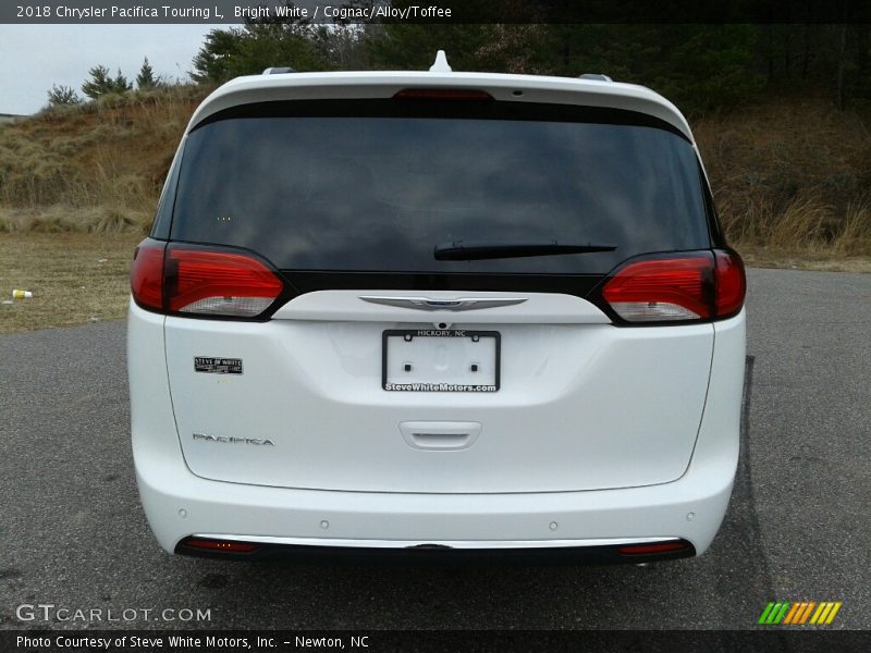 Bright White / Cognac/Alloy/Toffee 2018 Chrysler Pacifica Touring L