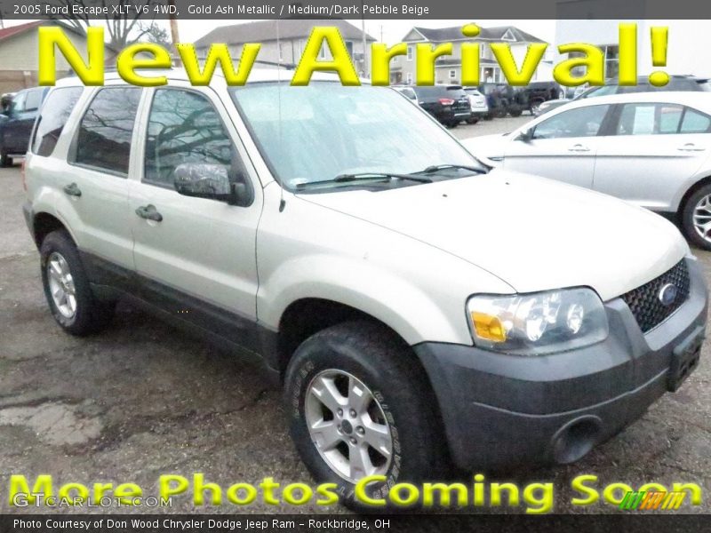 Gold Ash Metallic / Medium/Dark Pebble Beige 2005 Ford Escape XLT V6 4WD