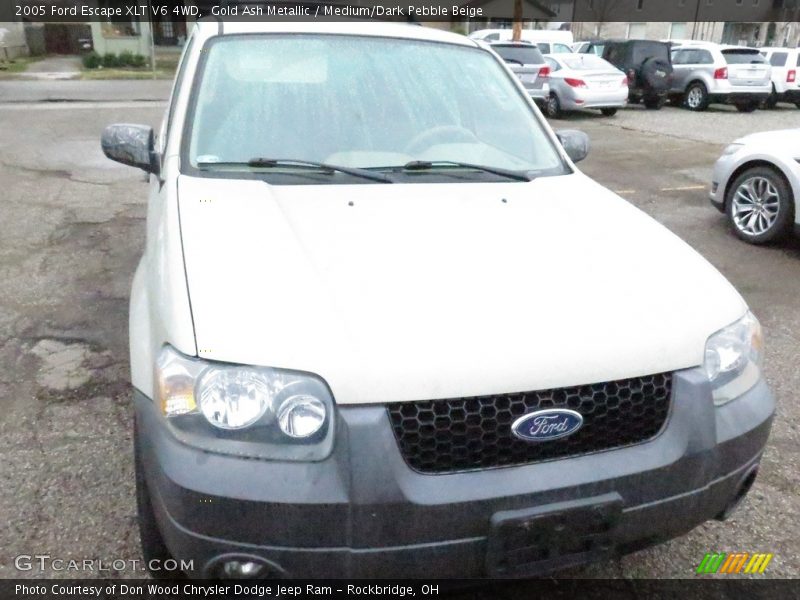 Gold Ash Metallic / Medium/Dark Pebble Beige 2005 Ford Escape XLT V6 4WD