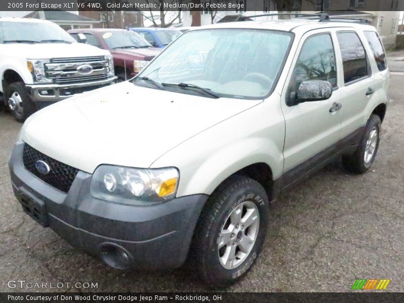 Gold Ash Metallic / Medium/Dark Pebble Beige 2005 Ford Escape XLT V6 4WD