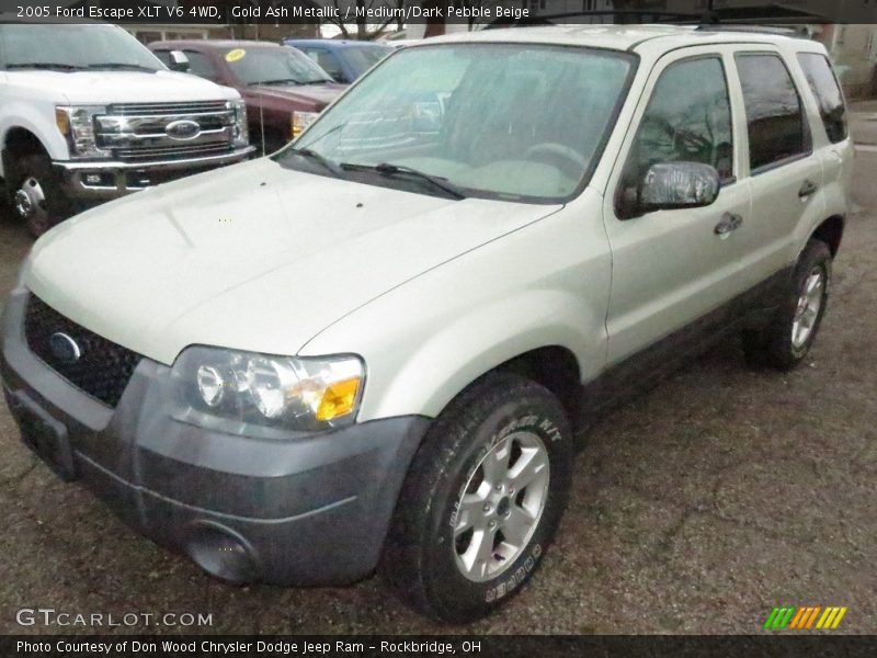 Gold Ash Metallic / Medium/Dark Pebble Beige 2005 Ford Escape XLT V6 4WD