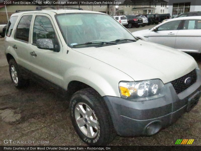 Gold Ash Metallic / Medium/Dark Pebble Beige 2005 Ford Escape XLT V6 4WD