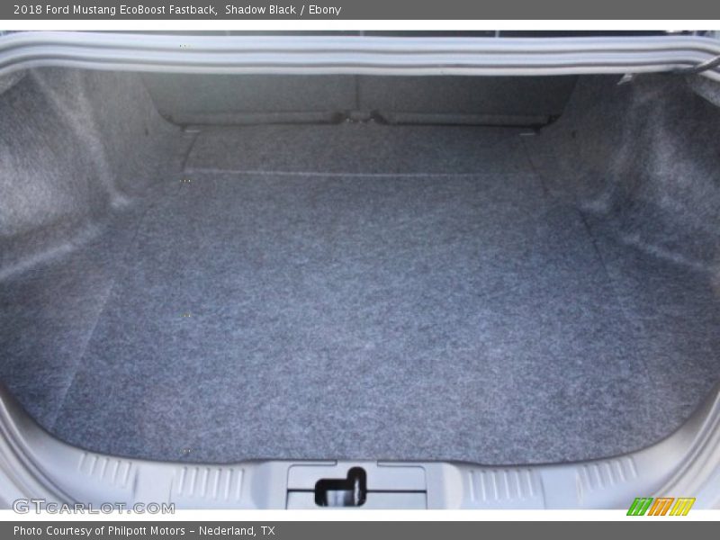 Shadow Black / Ebony 2018 Ford Mustang EcoBoost Fastback